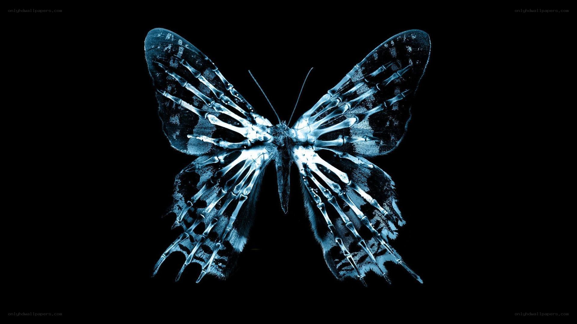 skeletal butterfly x-ray