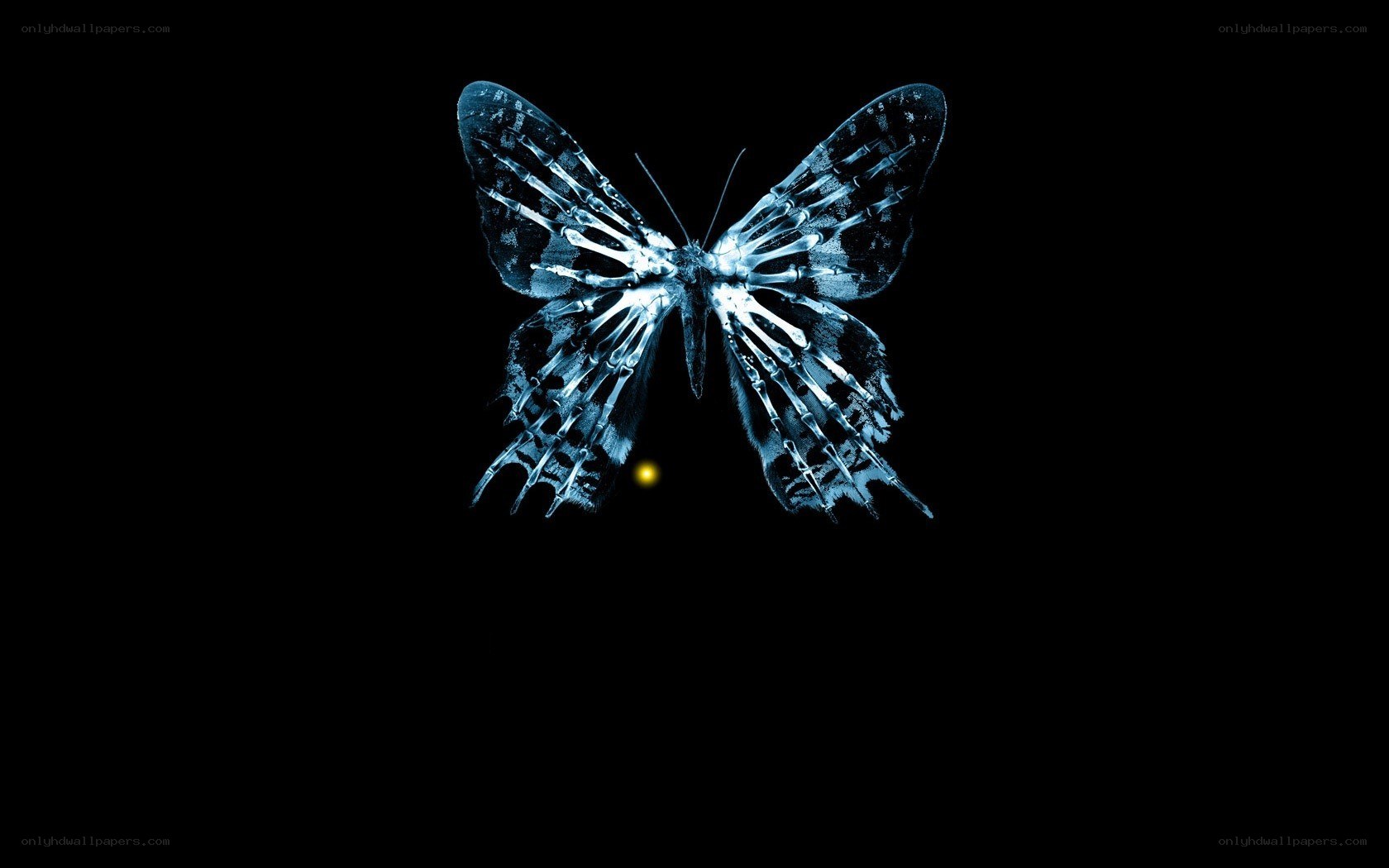 skeletal butterfly x-ray