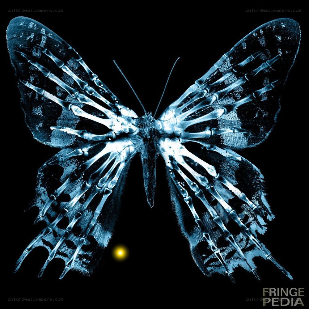 skeletal butterfly x-ray