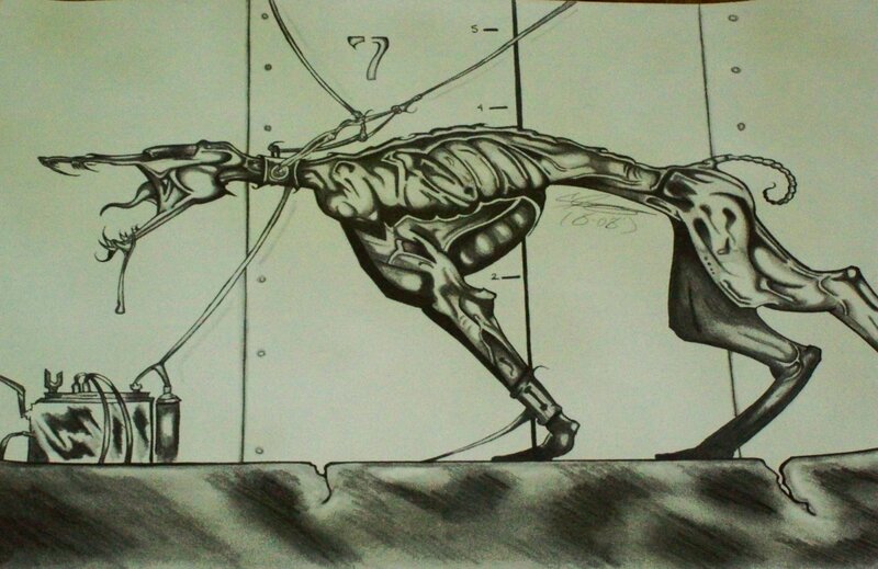 skeletal dog experiment drawing