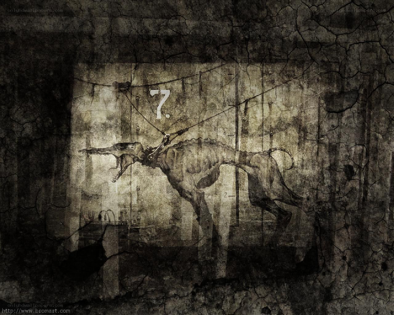 skeletal dog in dark room