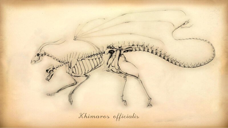 skeletal dragon anatomy
