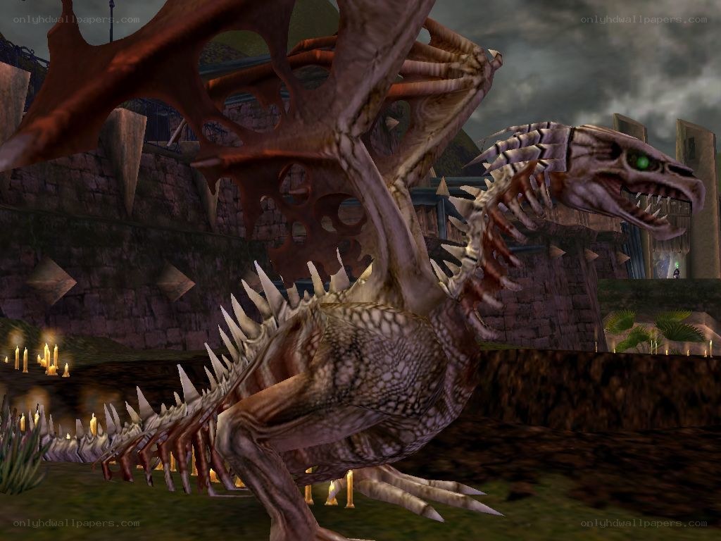skeletal dragon in ruins