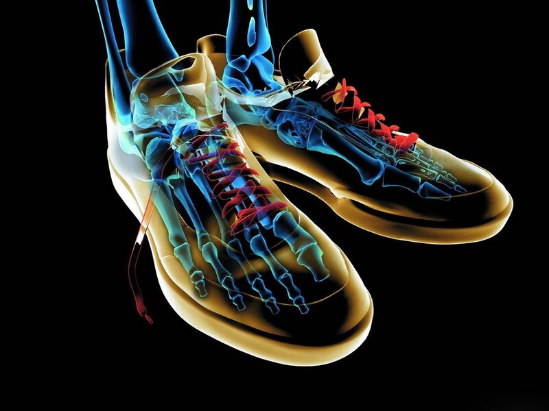 Skeletal Feet in Sneakers