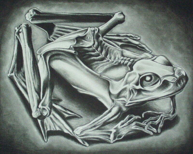 skeletal frog sculpture