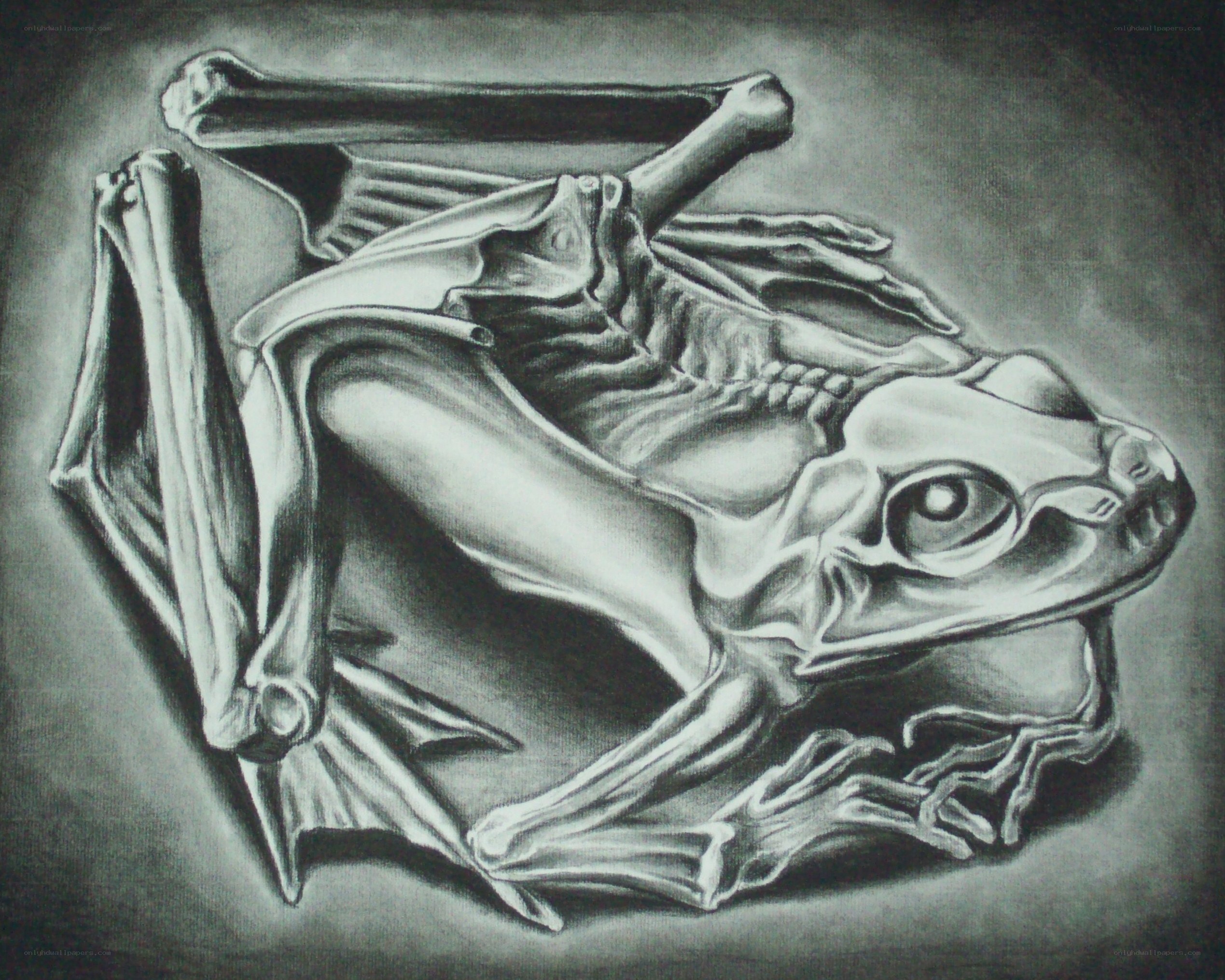 skeletal frog sculpture