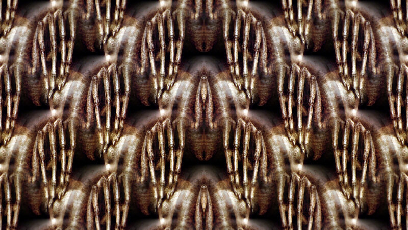 Skeletal Hands Pattern