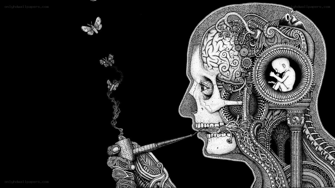 skeletal head with brain and fetus