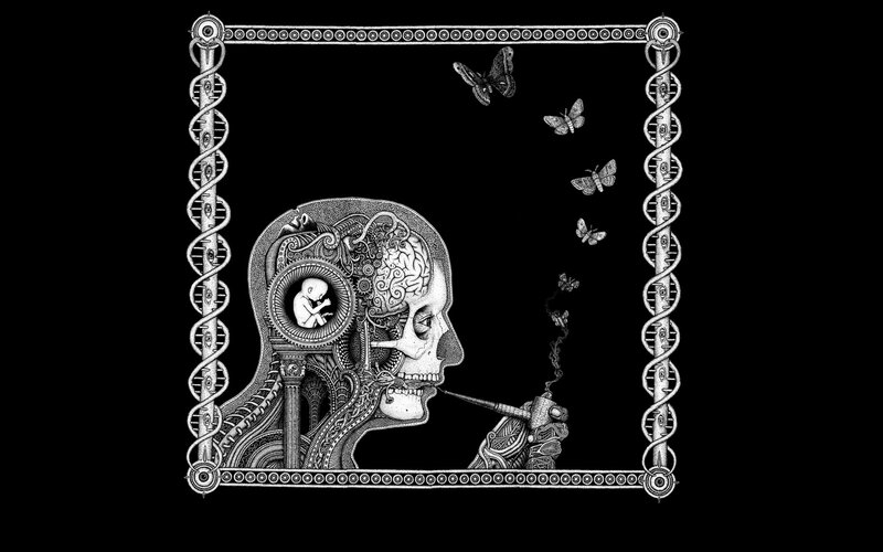 skeletal head with fetus and butterflies