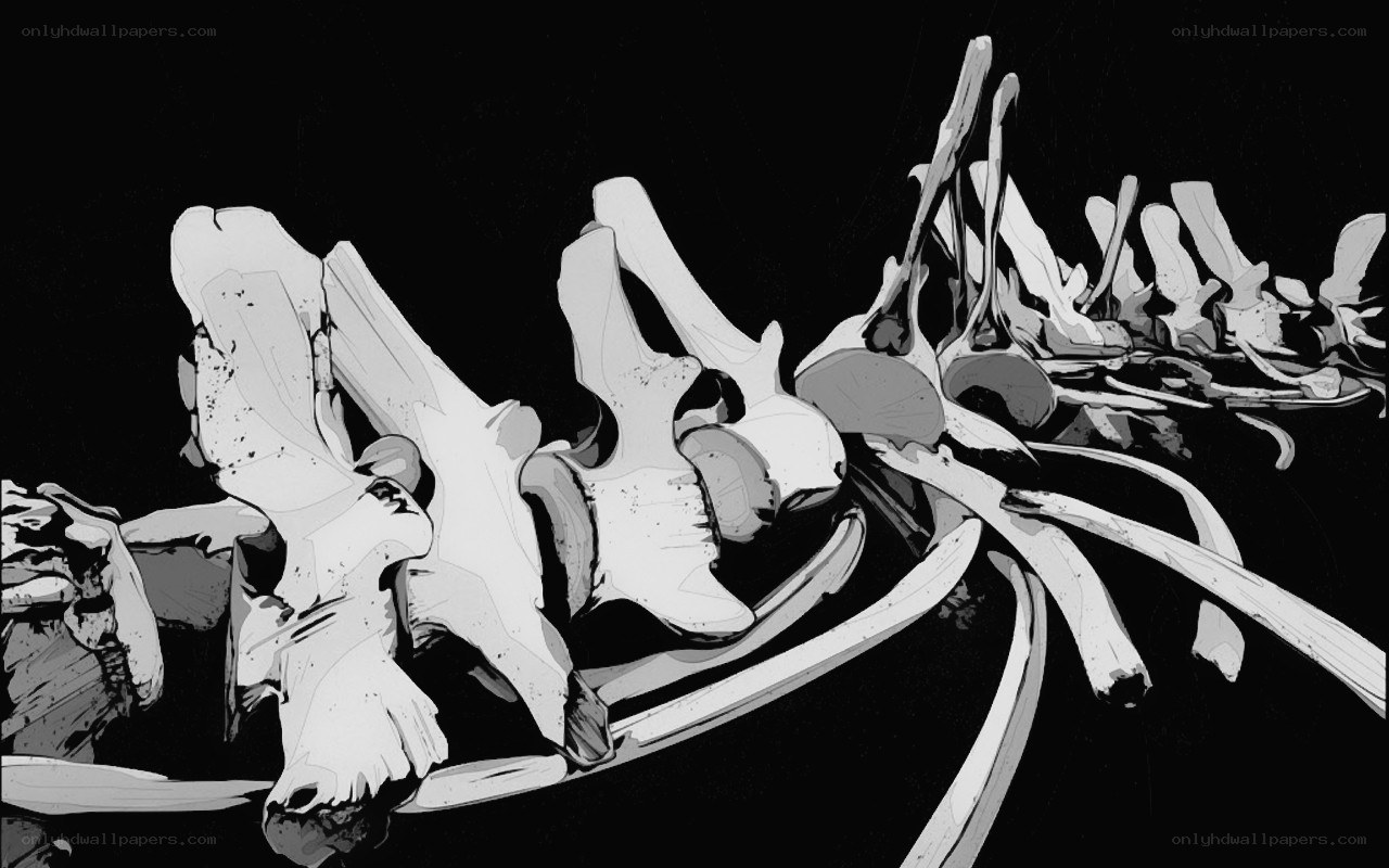skeletal remains in darkness