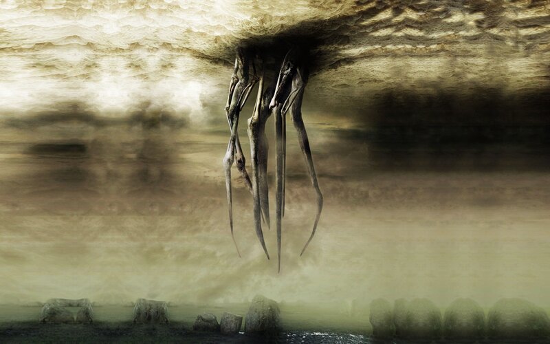 Skeletal roots hang from cave ceiling