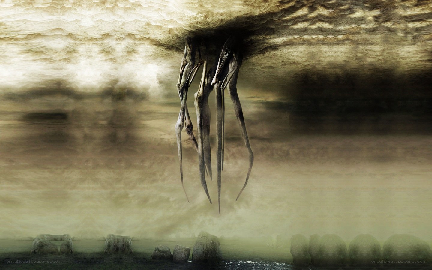 Skeletal roots hang from cave ceiling