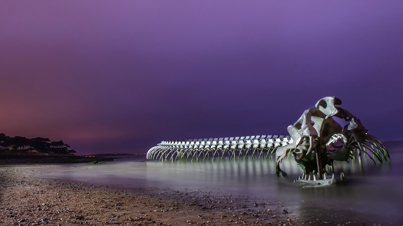Skeletal sculpture on beach at dusk