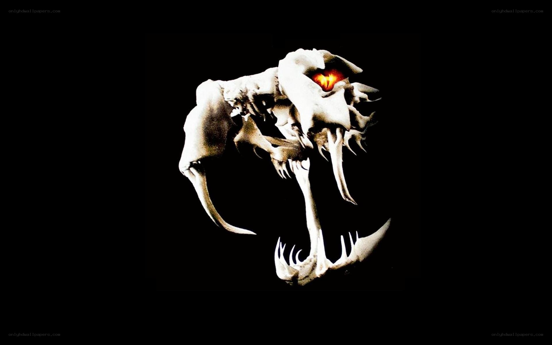 skeletal skull with glowing eyes