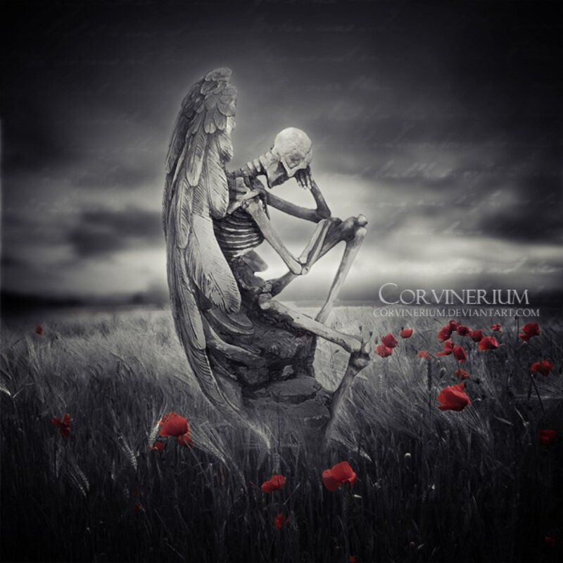 Skeleton Angel in Field