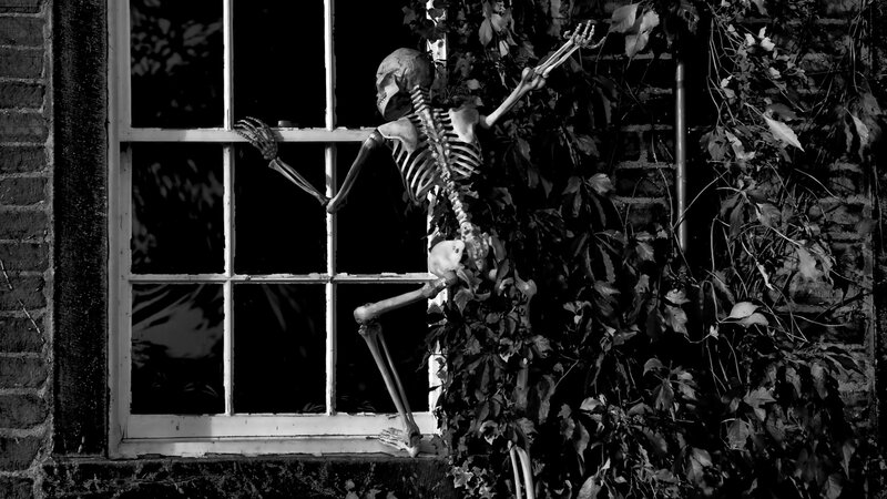 Skeleton at Window