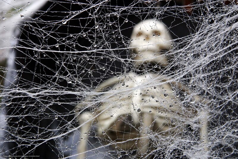 skeleton behind cobweb