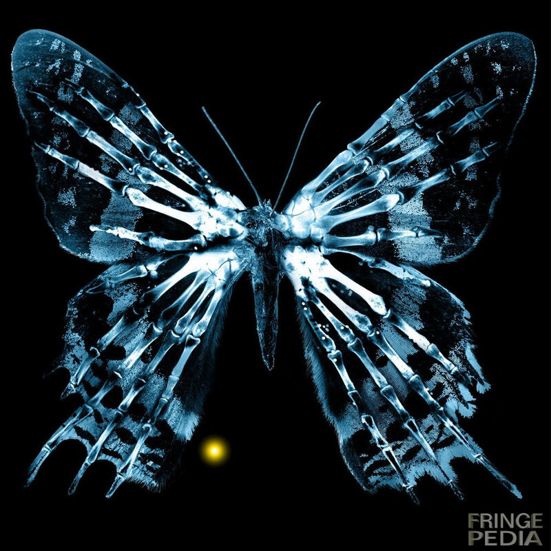 Skeleton Butterfly