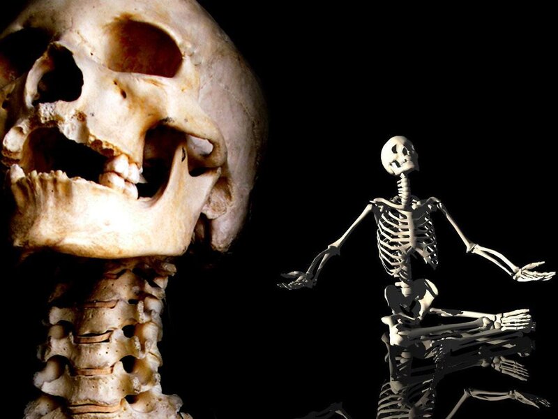 skeleton close-up and model