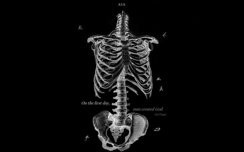skeleton diagram with quote