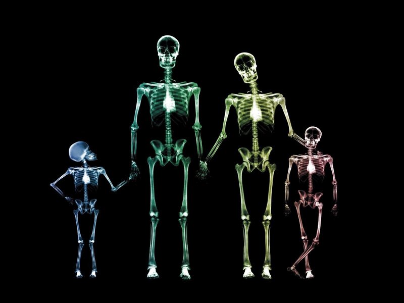 Skeleton Family — Green, Dramatic
