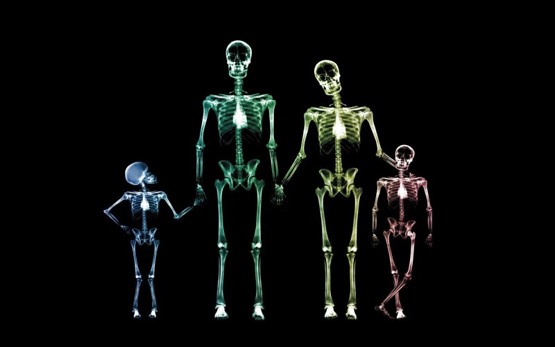 Skeleton Family
