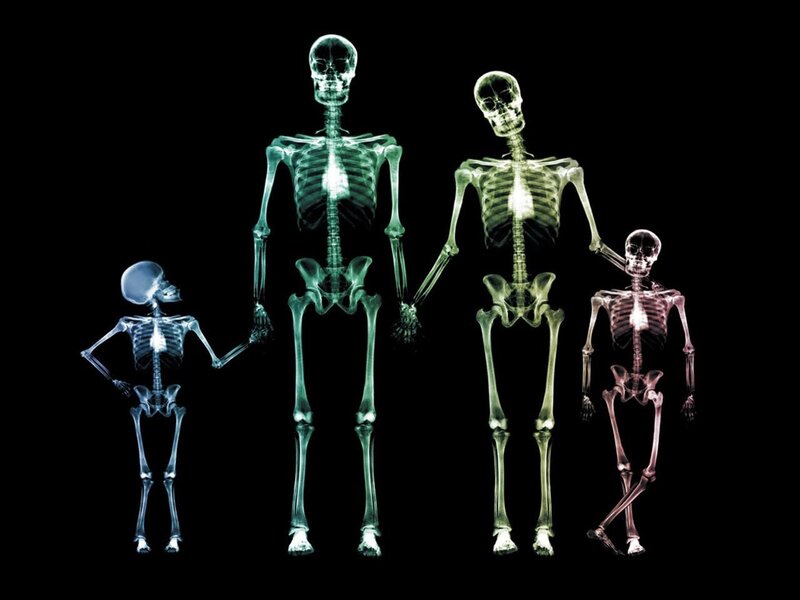 skeleton family x-ray