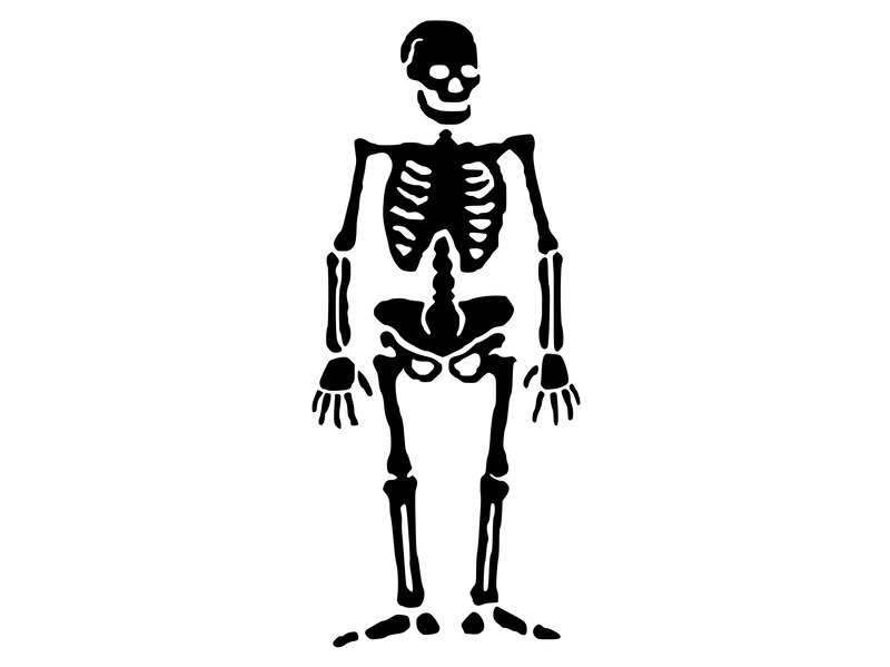 Skeleton Figure — Black, Neutral