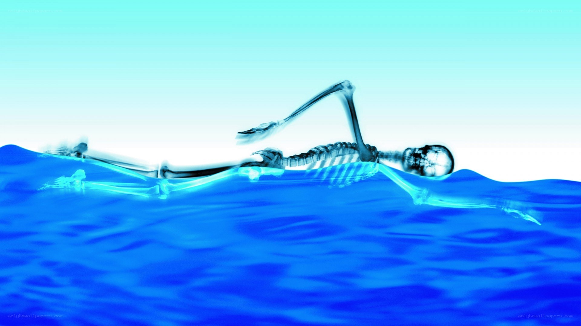 skeleton floating in water