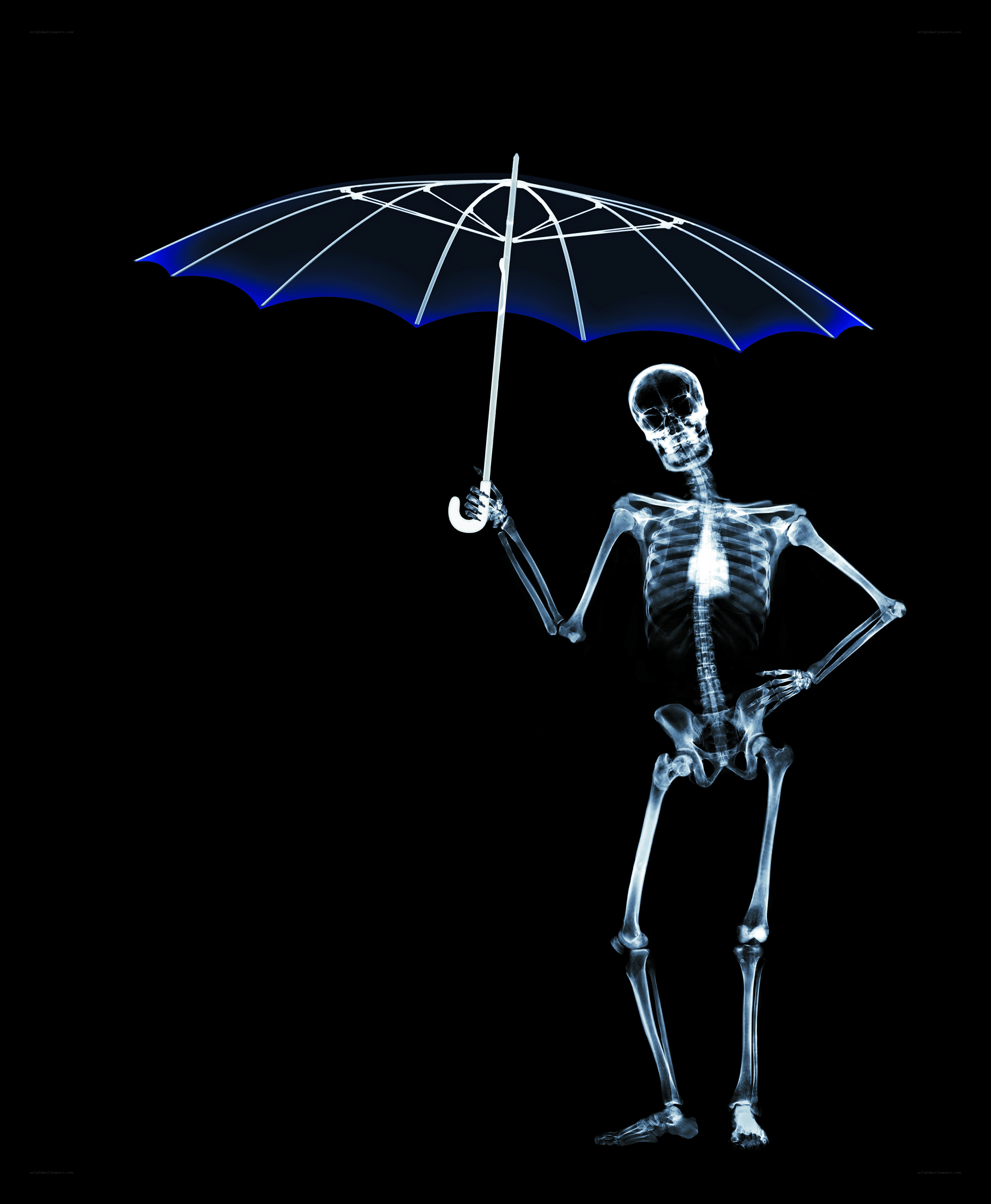 skeleton holding an umbrella