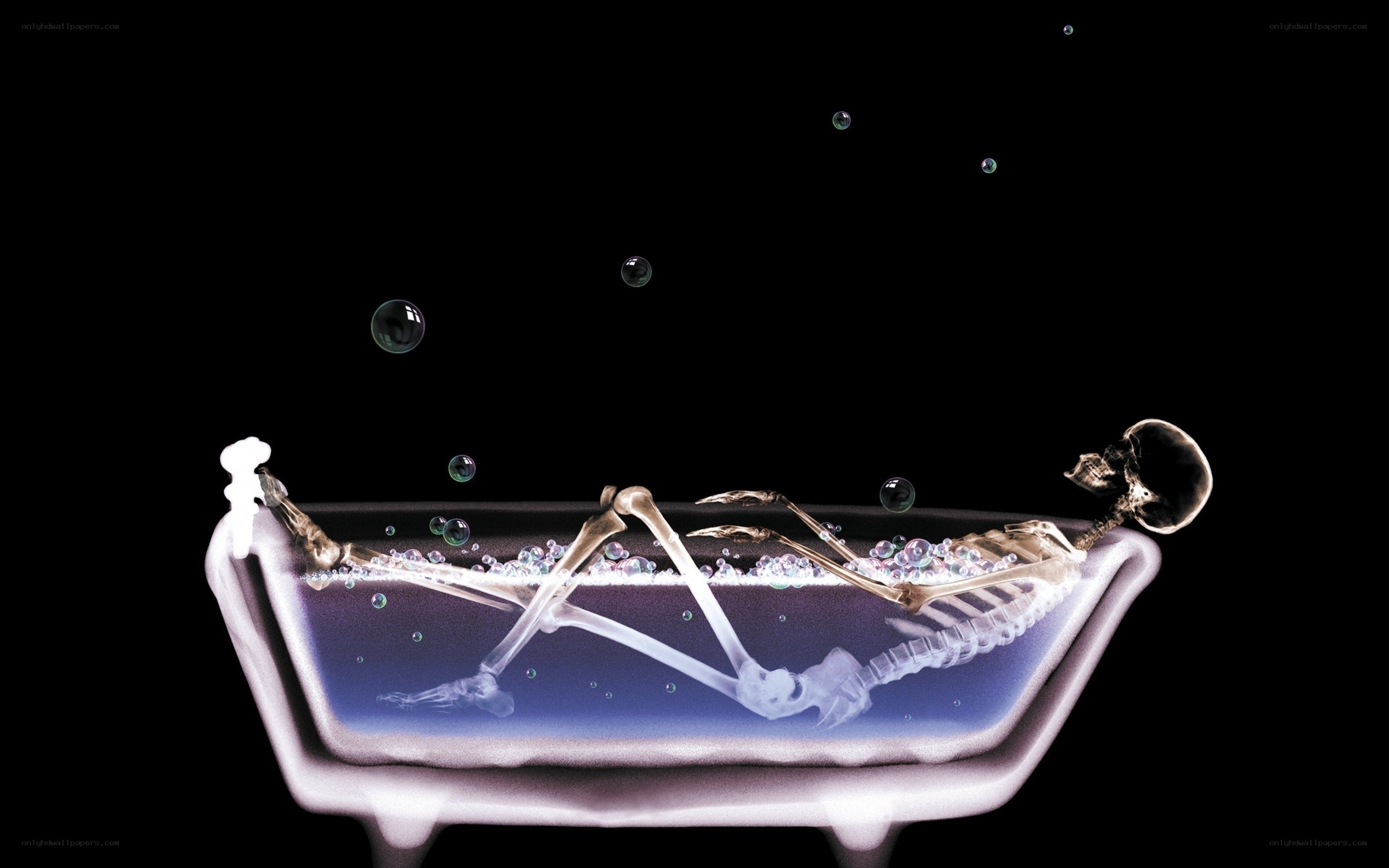 skeleton in a bathtub