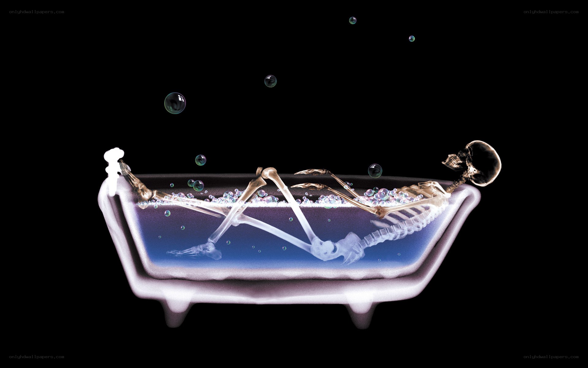 skeleton in a bathtub