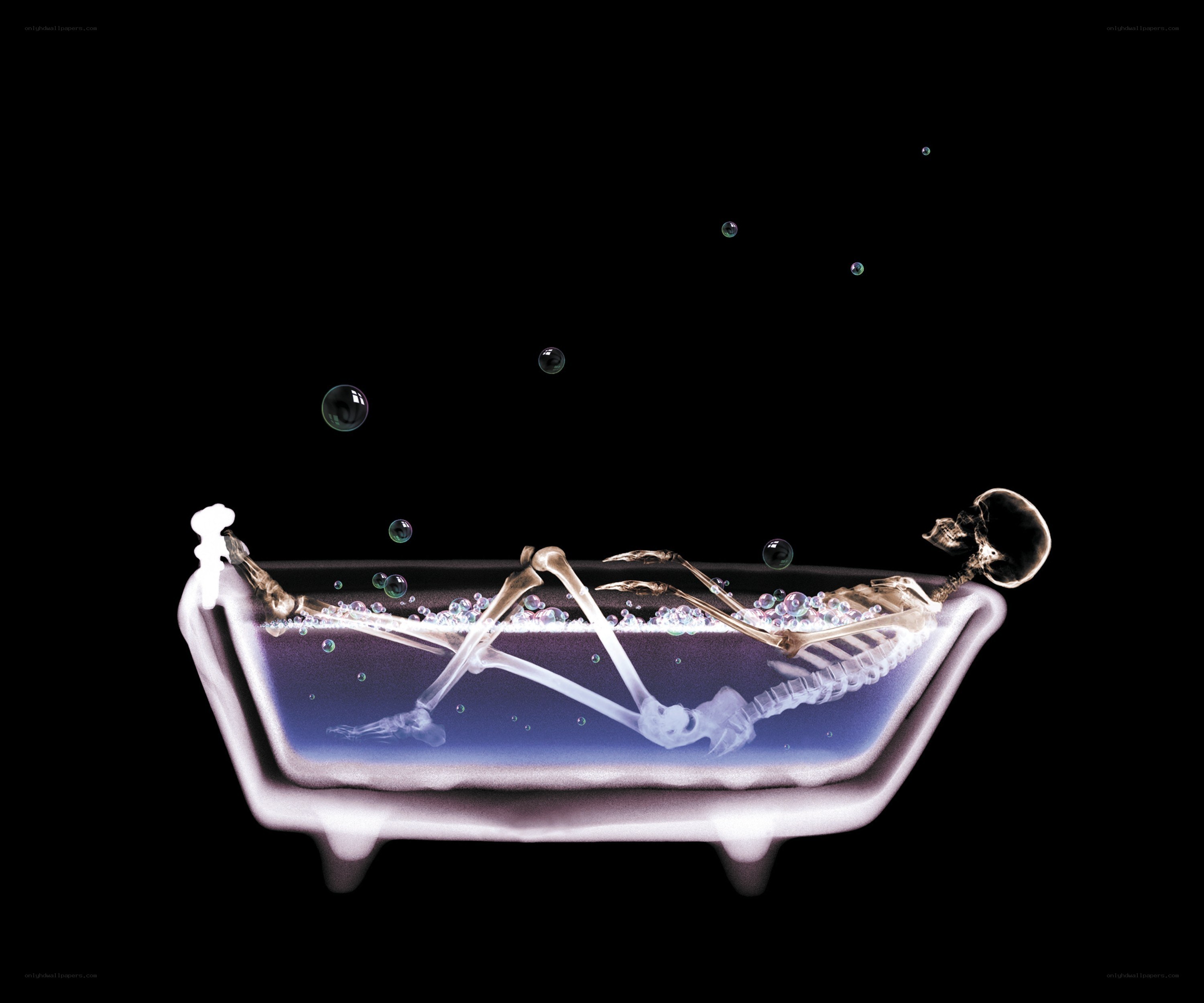 skeleton in a bathtub