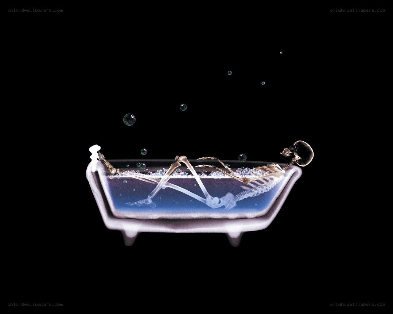 skeleton in a bathtub