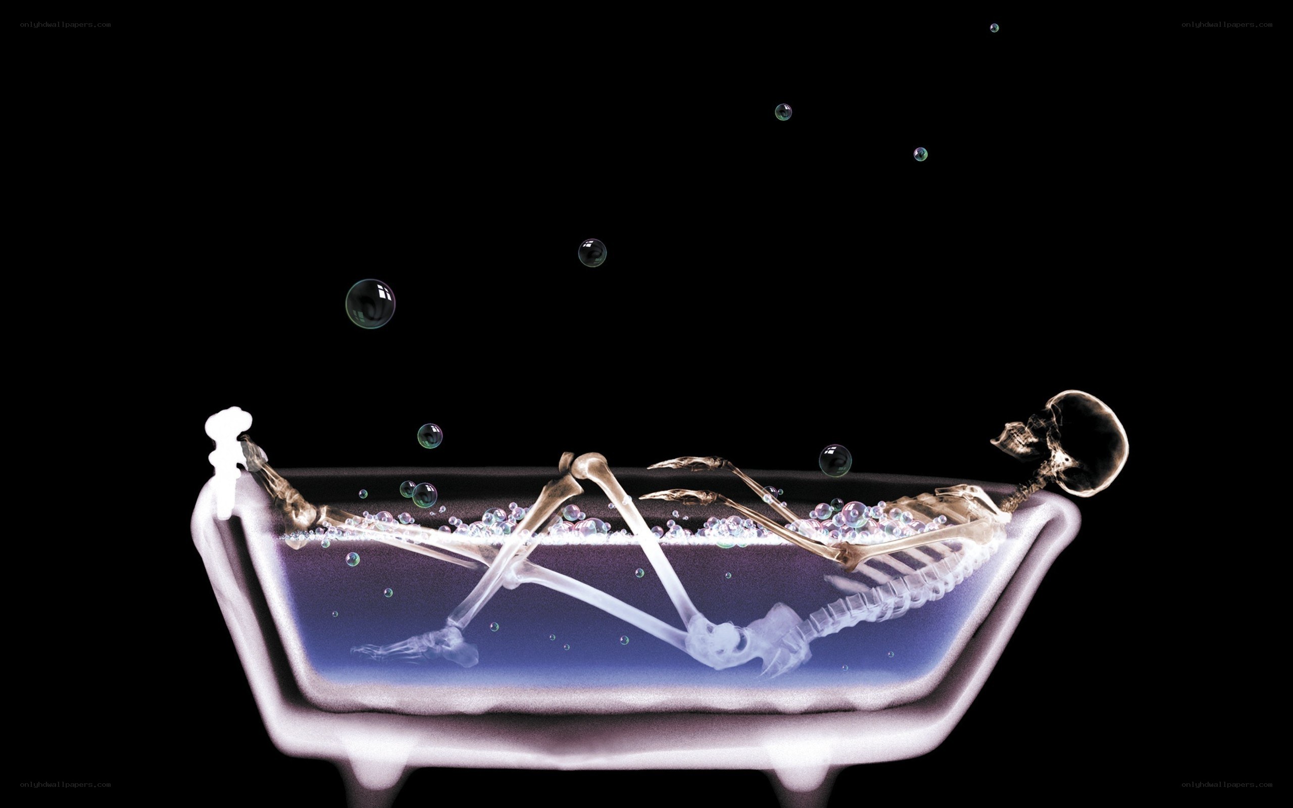 skeleton in a bathtub