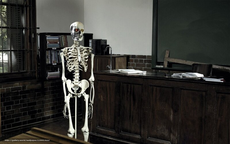 skeleton in a classroom