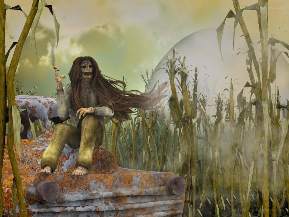 skeleton in a cornfield