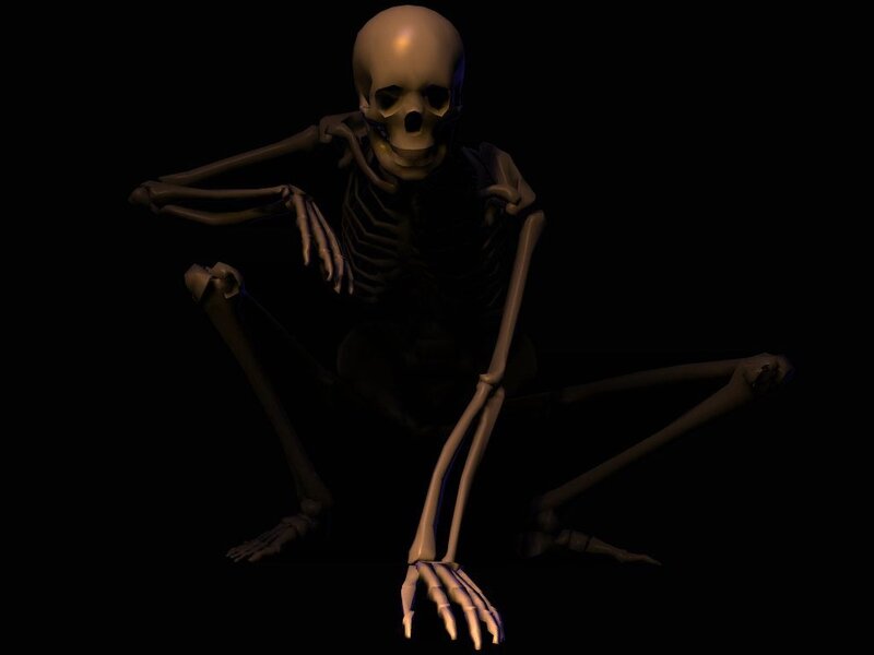 skeleton in a crouched pose