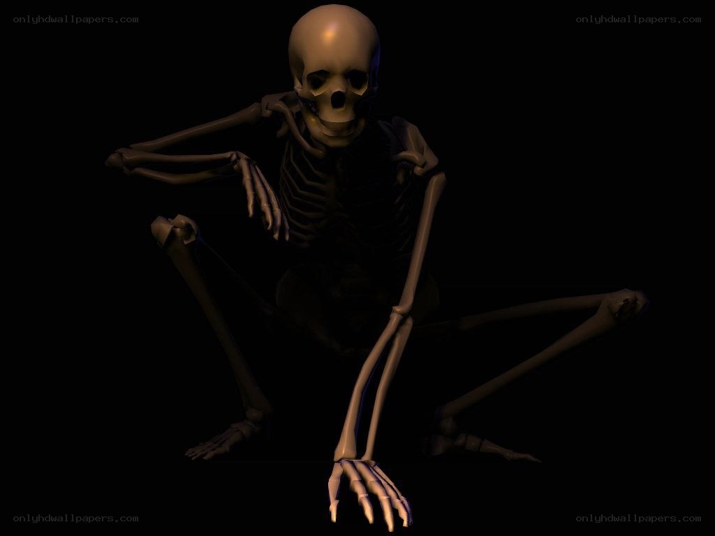 skeleton in a crouched pose
