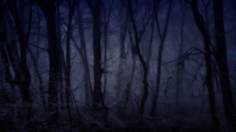 skeleton in a dark forest