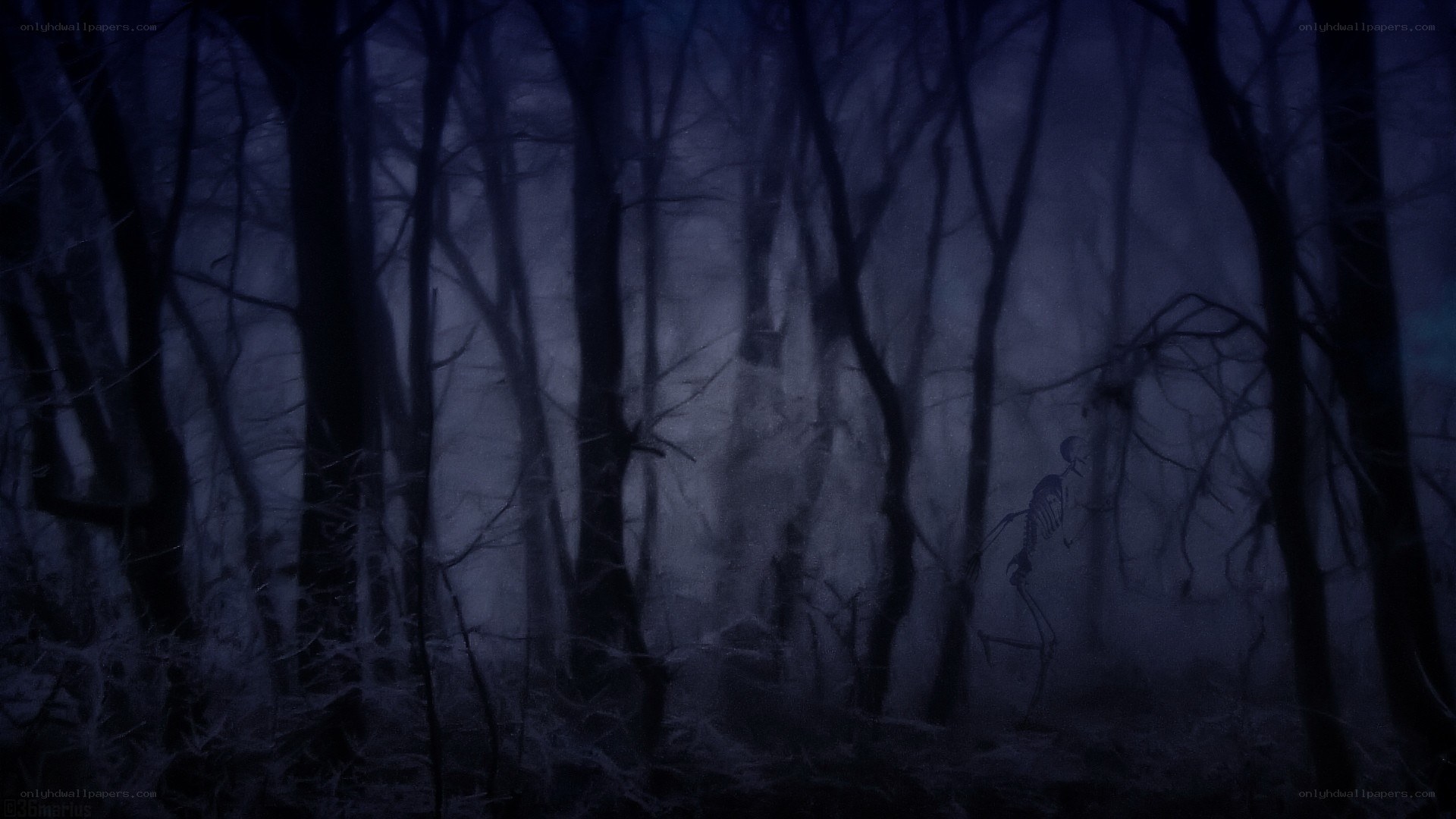 skeleton in a dark forest