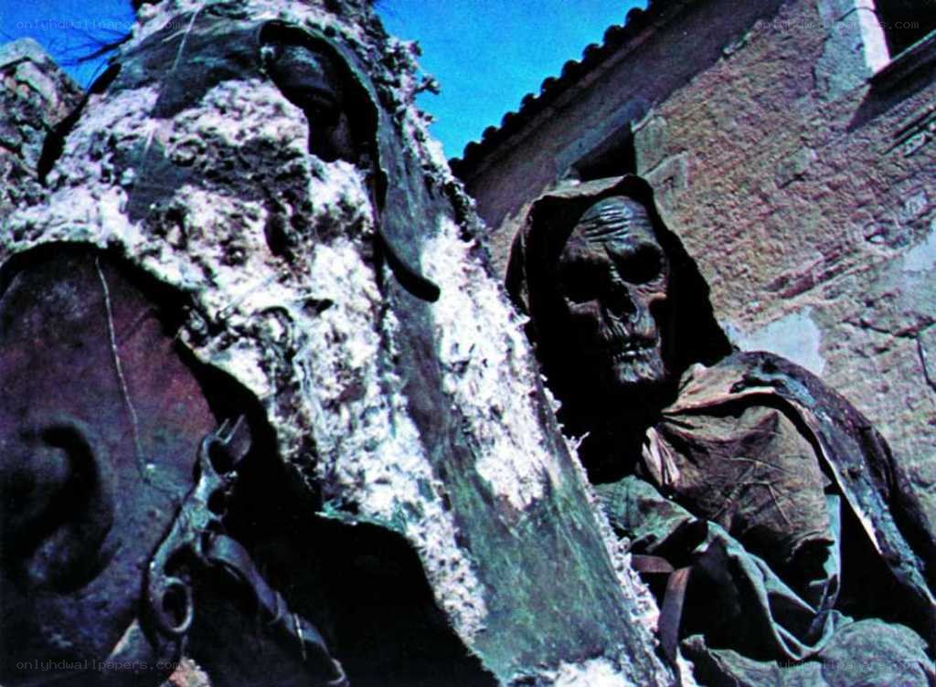 skeleton in a hooded cloak