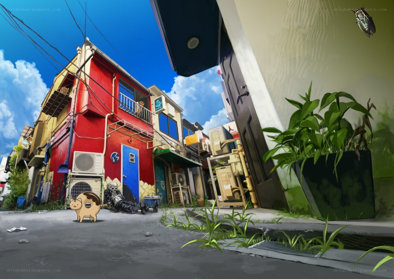 skeleton in alleyway