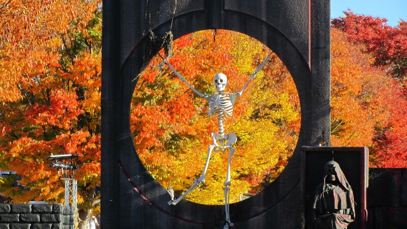 Skeleton in Autumn
