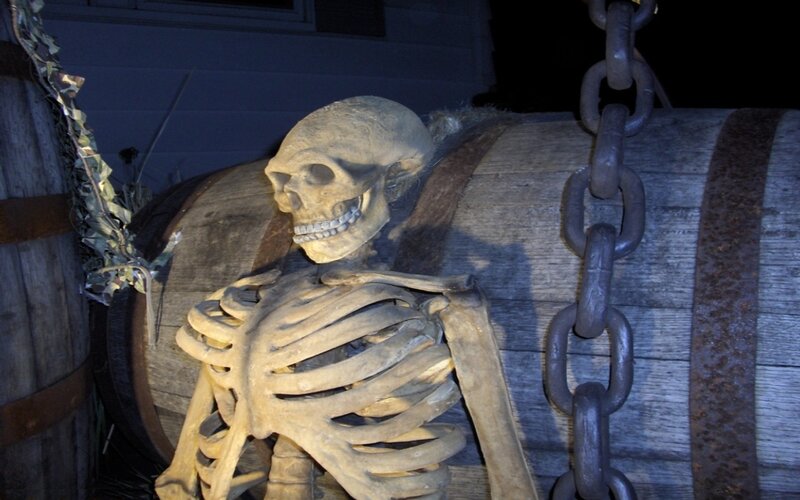 skeleton in barrel display