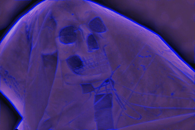 Skeleton in Burial Shroud