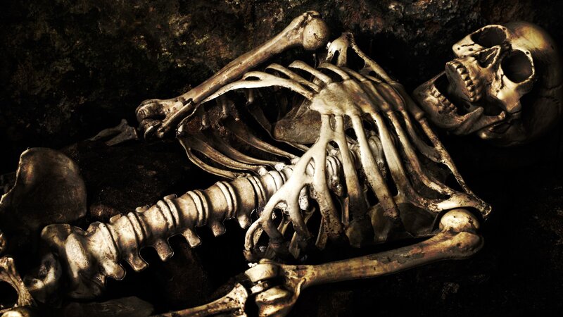 Skeleton in Cave — Brown, Dark