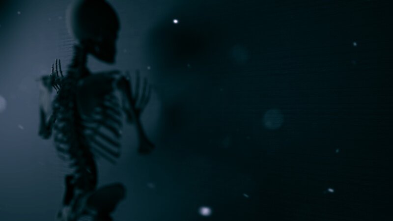 Skeleton in Dark Space