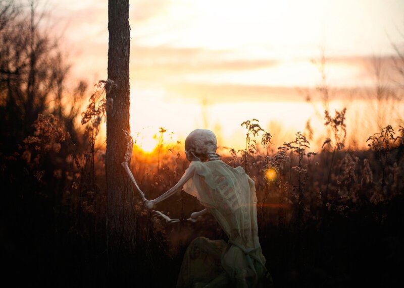 Skeleton in Field