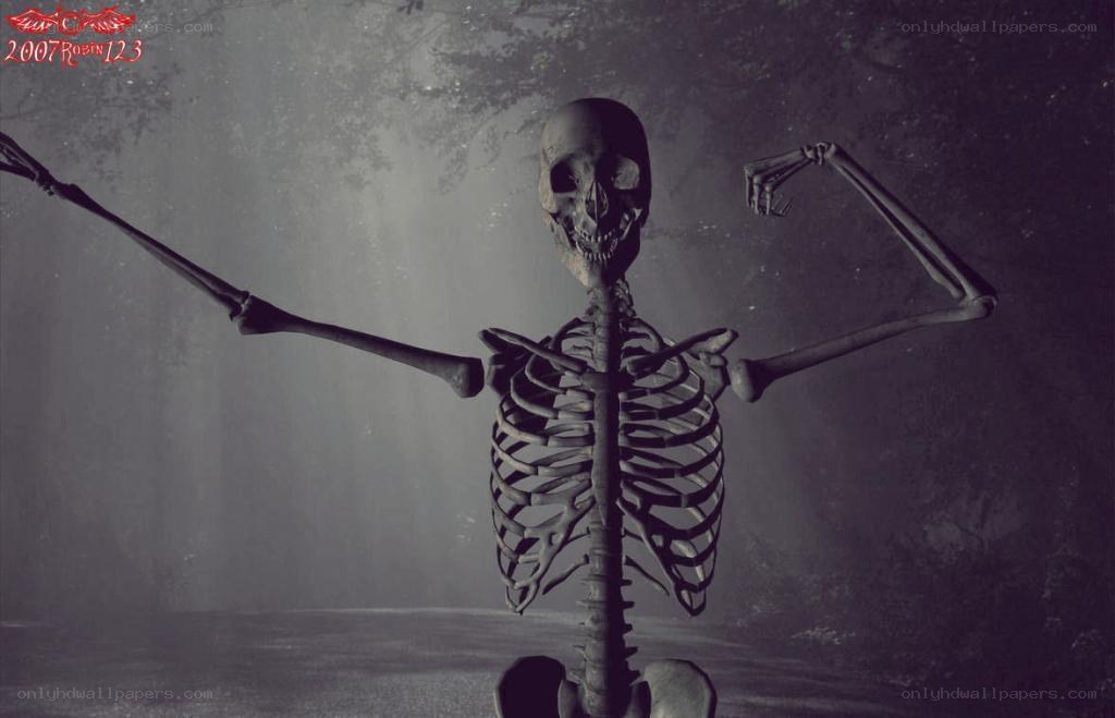 skeleton in foggy forest